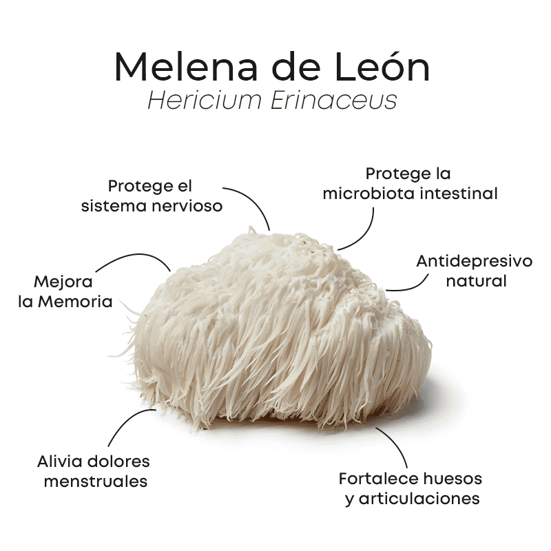 MELENA DE LEÓN: Bienestar integral